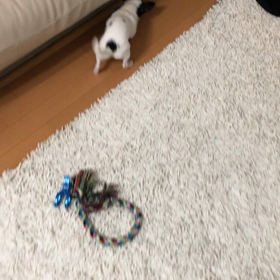 サッカー部の画像