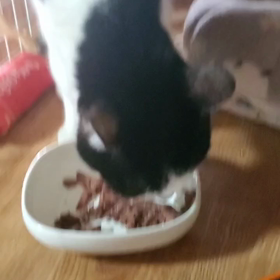 新年初は愛されお婆ちゃんの 画像