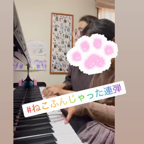 オススメテキスト！の画像