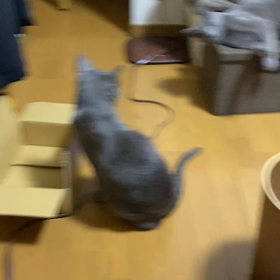 ボーナスの画像