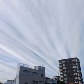 コロナ感染広がっている。。の画像