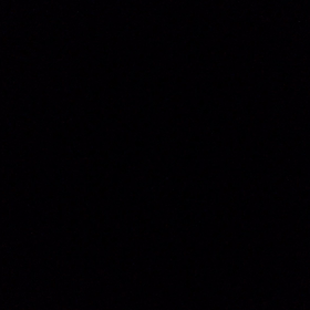 月夜のホタル祭りの画像