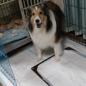 兄が意識不明になって6ヶ月経ちました。の画像