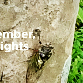 ９月の思いでの画像