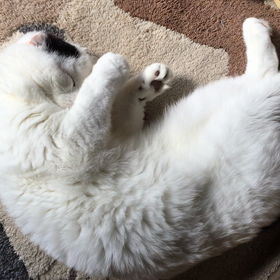 クネクネ坊やの画像