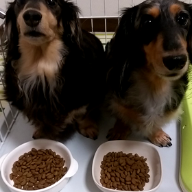 大好きマンマTIMEの画像