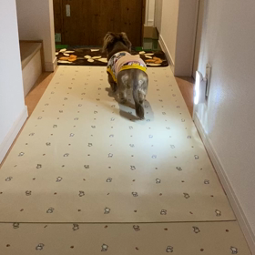 番外編♡の画像