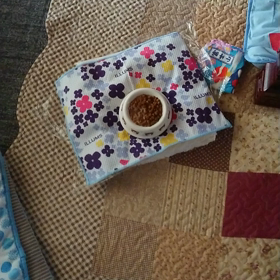 わが家の愛犬らんまる のルーティンの画像