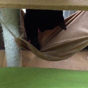 ミッションインポッシブル。の画像