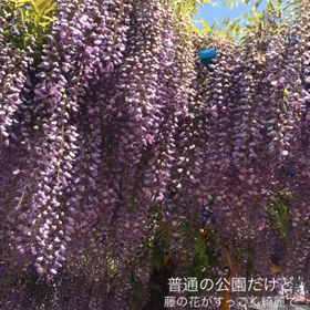 日曜日休みの画像