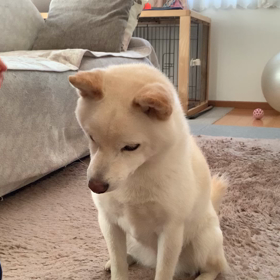 今日のユキちゃんの画像