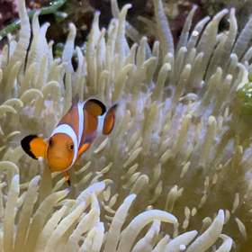 雨が続くいやな流れの画像