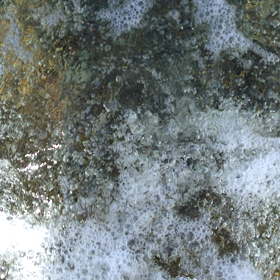 佐渡の海、透明感伝わりますか？の画像