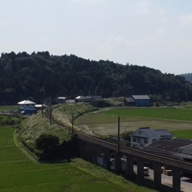 水郷の風景の画像