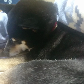 明けましておめでとう☺️の画像