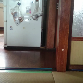 誰かー(゜ロ゜)の画像