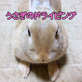 ドライビングテクニック (ドリフト) うさぎの画像