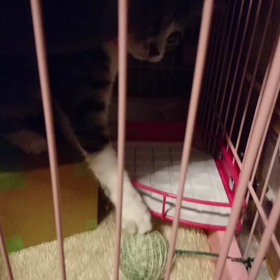 心春の一人遊びの画像