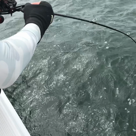 本日のタイラバ動画です。の画像