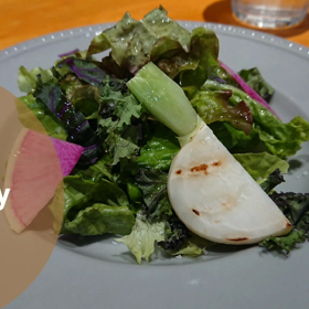 今日のランチの画像