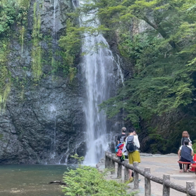 今日の滝の画像