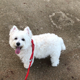 ♪お散歩動画♪参宮橋公園♪の画像