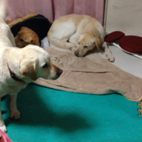 変わらない毎日で変わったこと。の画像