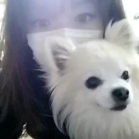 くぅ～ちゃんでーす！の画像