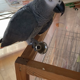 おもちゃローテーションの画像