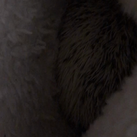 352日目心通うの画像