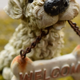 痛かった。。の画像