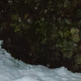 コロナ対策支援を願うの画像