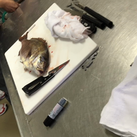 4月24日 津本式の画像