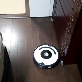 ルンバくん動画( ☆∀☆)の画像