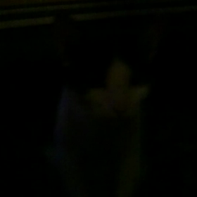 【サブちゃんの鳴き声】オネダリするときだけ可愛く鳴くの画像