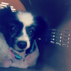 午後のまったりタイムですの画像