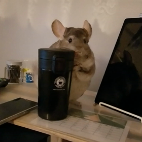 どういう心境なんだろ…の画像