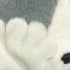 ★年に1回の…★の画像