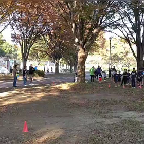 11/3 基本動作①の画像