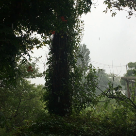 ありがたい恵の雨ではあるけれど、、、もう止んでほしい(-｡-;の画像