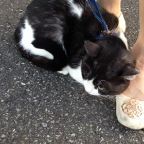 へっぴり腰の画像