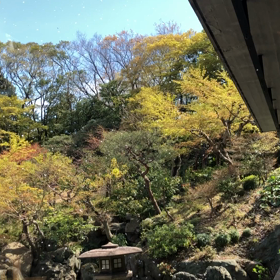 桜吹雪の画像