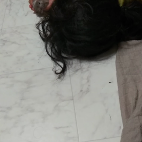 **市議会と志し**の画像