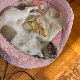 ソロ活女子のススメ　第1話から3話の画像