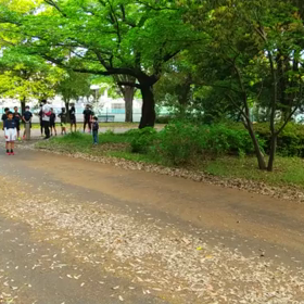 リレー選考会(男子)スタート付近②の画像