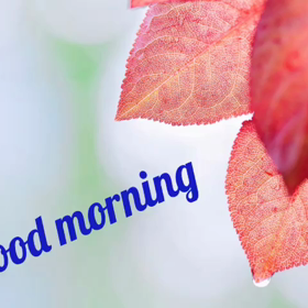 秋です✩°｡⋆の画像