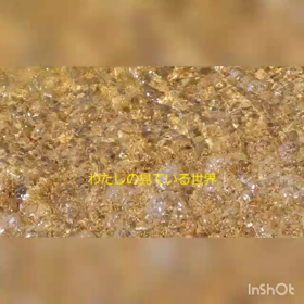 海と融合の画像