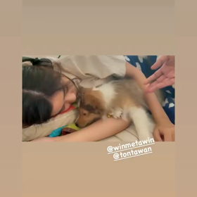 20210613 Win IGSの画像