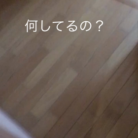 チップとデール、雪の影響、ジム、やっぱりリリカ様の画像