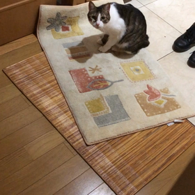 日赤に3日間通う。今日のデールちゃん。の画像